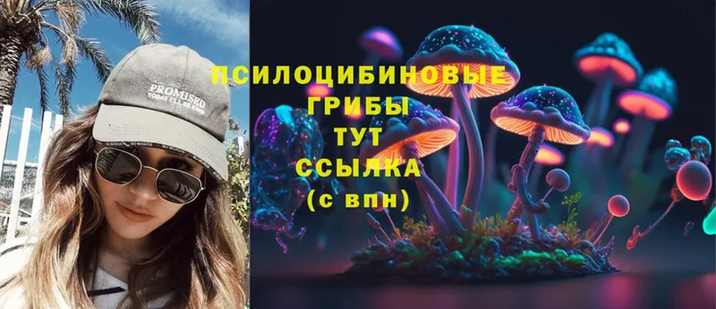 как найти закладки  Весьегонск  Псилоцибиновые грибы Magic Shrooms 